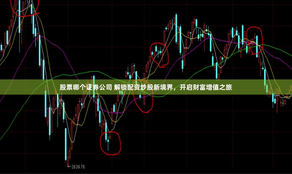 股票哪个证券公司 解锁配资炒股新境界，开启财富增值之旅