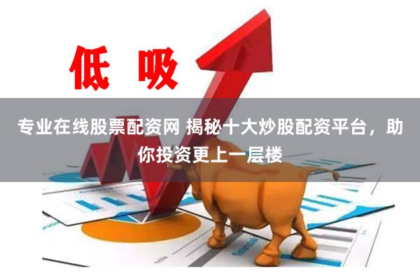 专业在线股票配资网 揭秘十大炒股配资平台，助你投资更上一层楼