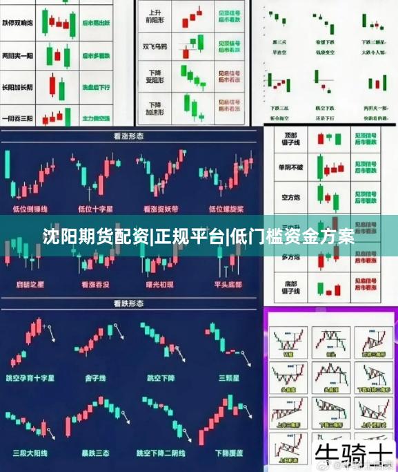沈阳期货配资|正规平台|低门槛资金方案