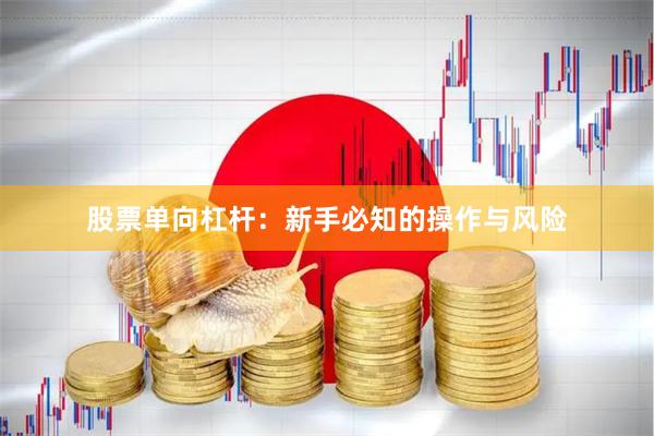 股票单向杠杆：新手必知的操作与风险