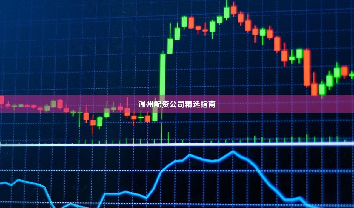 温州配资公司精选指南
