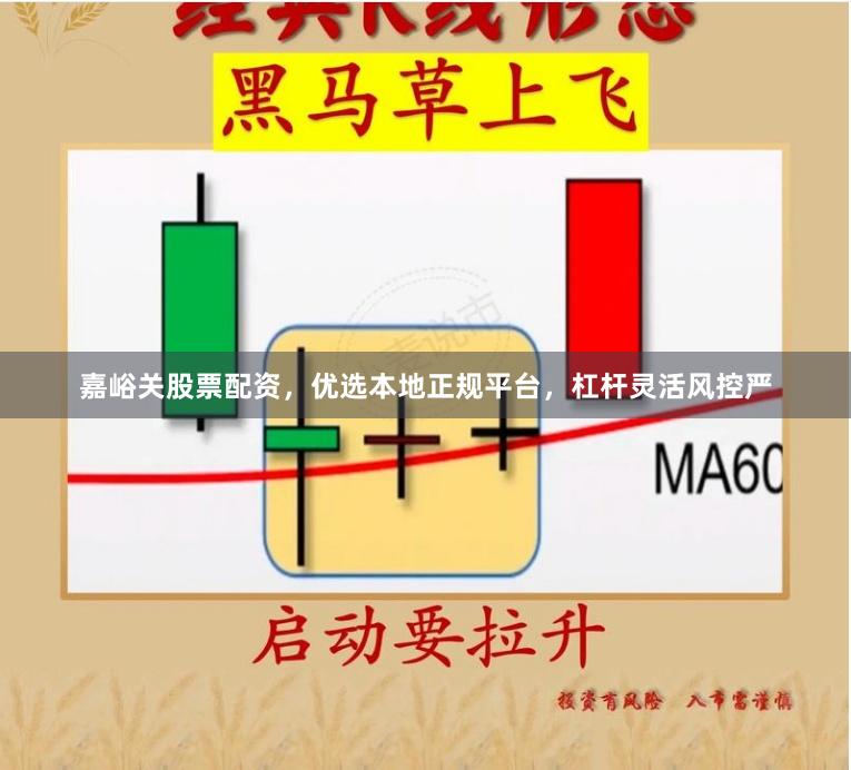嘉峪关股票配资，优选本地正规平台，杠杆灵活风控严